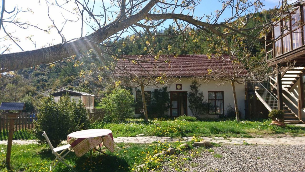 Apartamento Casa Turreta Ansó Exterior foto
